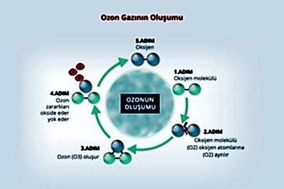 ozonla dezenfeksiyon